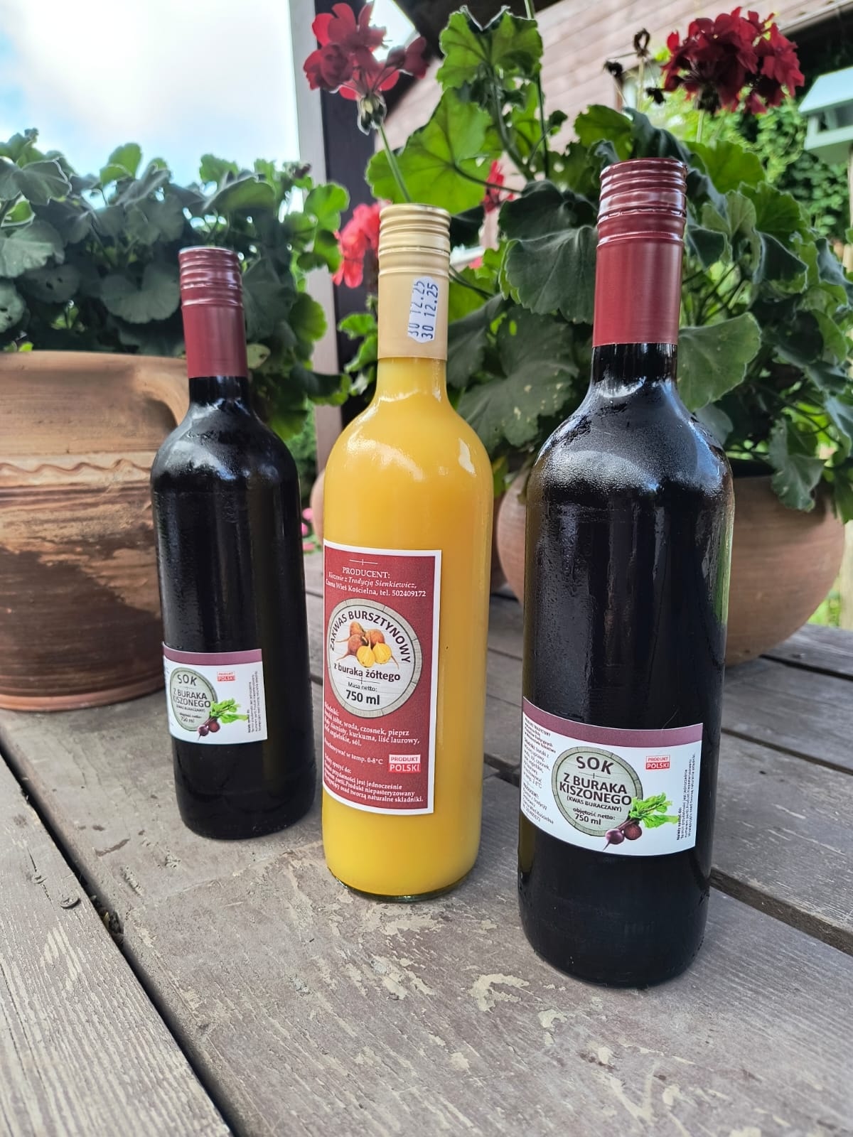 552347408_1251384870124425_3031651945503890776_n